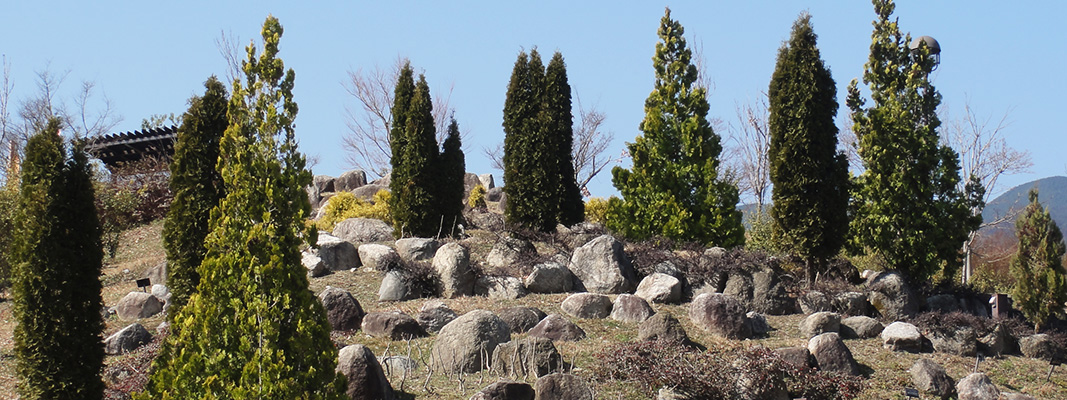 ロックガーデン